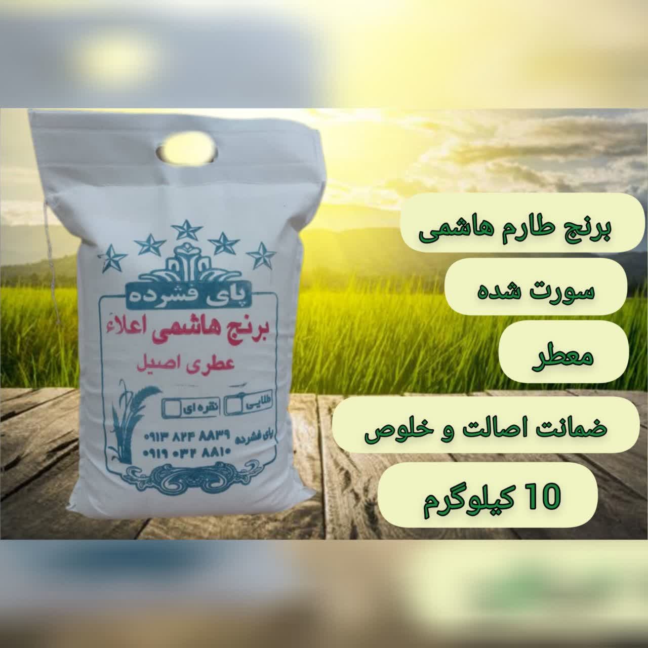 برنج طارم هاشمی اصیل 10 کیلویی برنج شمال برند پای فشرده
