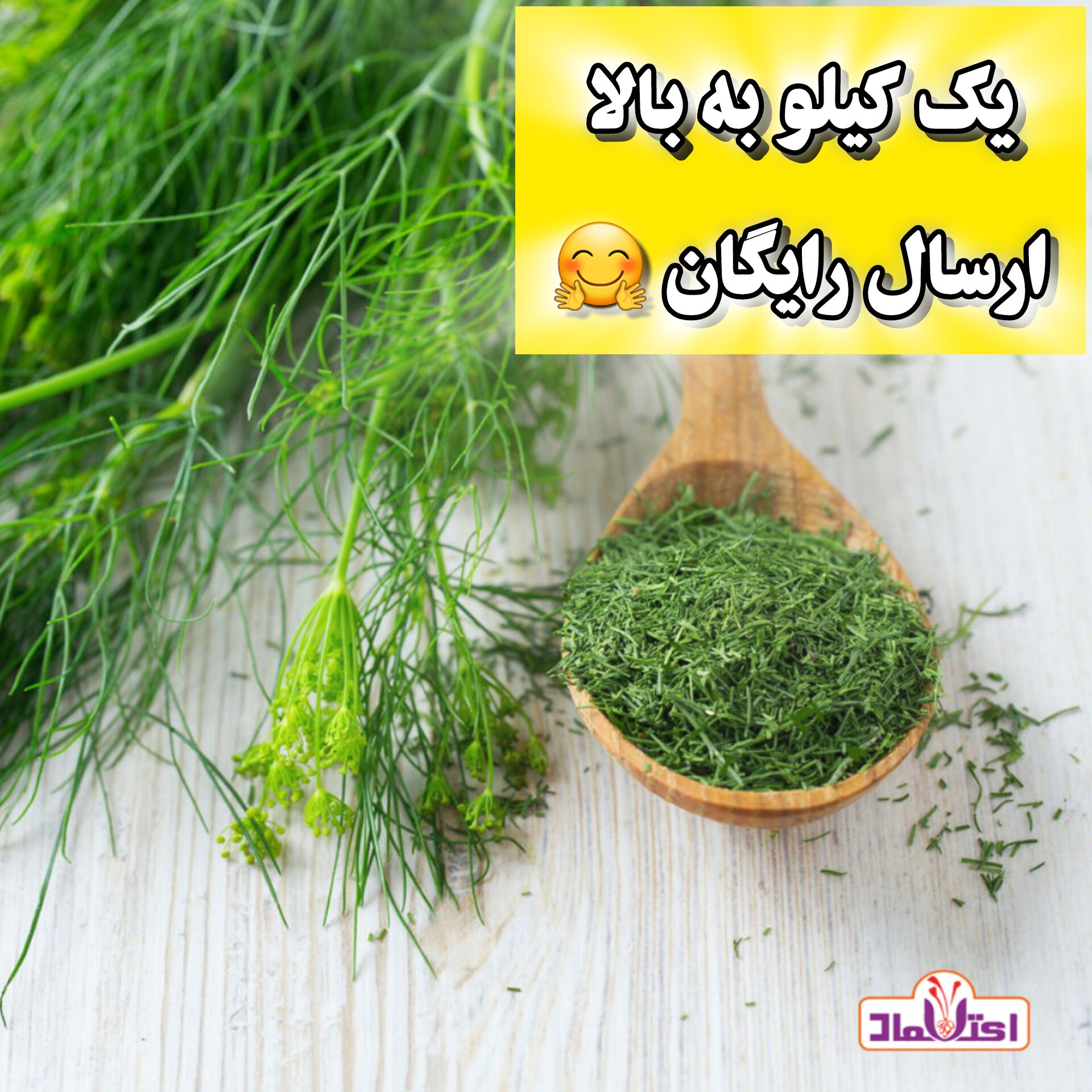 شوید خشک سبز اعلا 100 گرمی اعتماد تازه (سبزی شوید)
