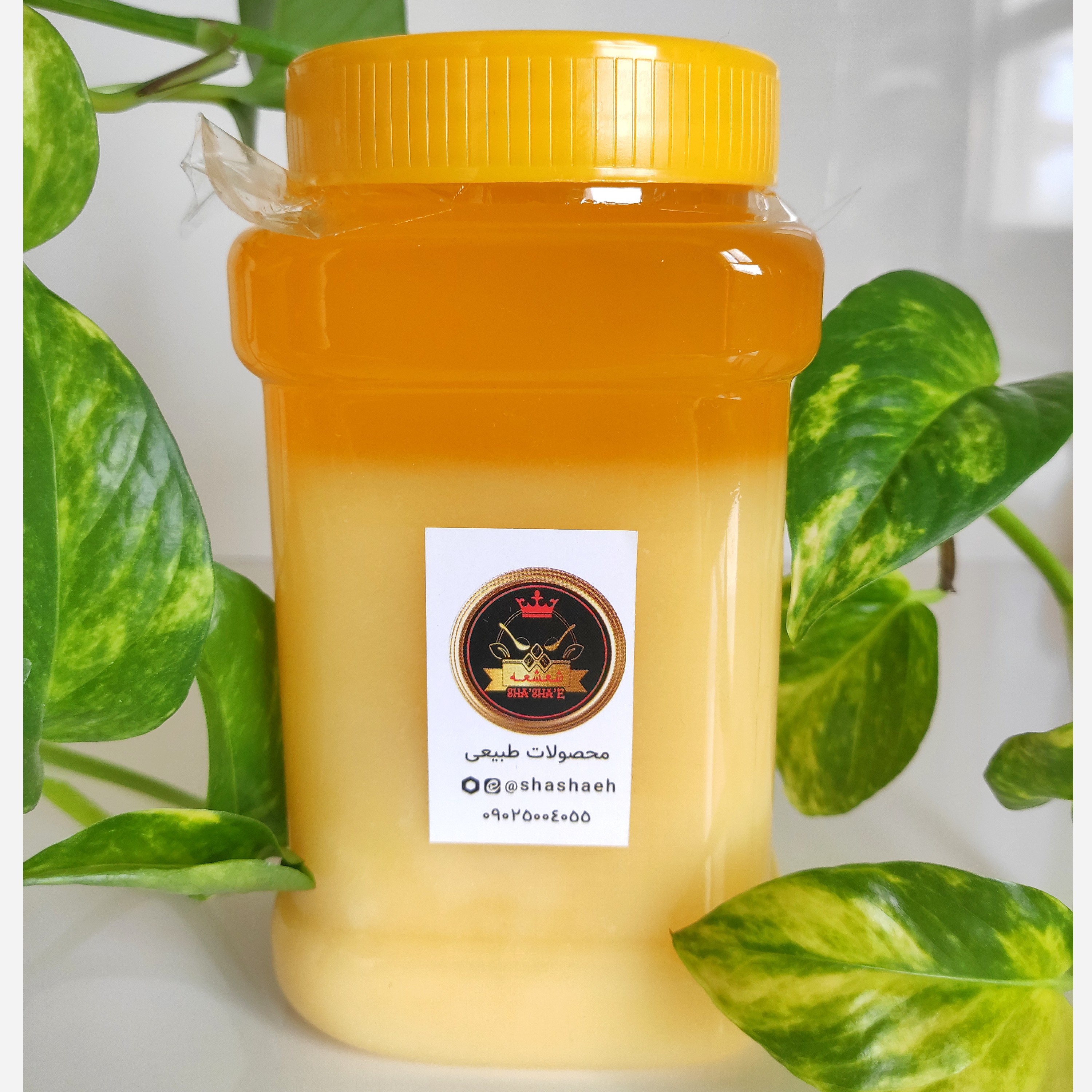 روغن حیوانی گاوی تازه خانگی 680 گرمی داهمان با نشان کیفیت