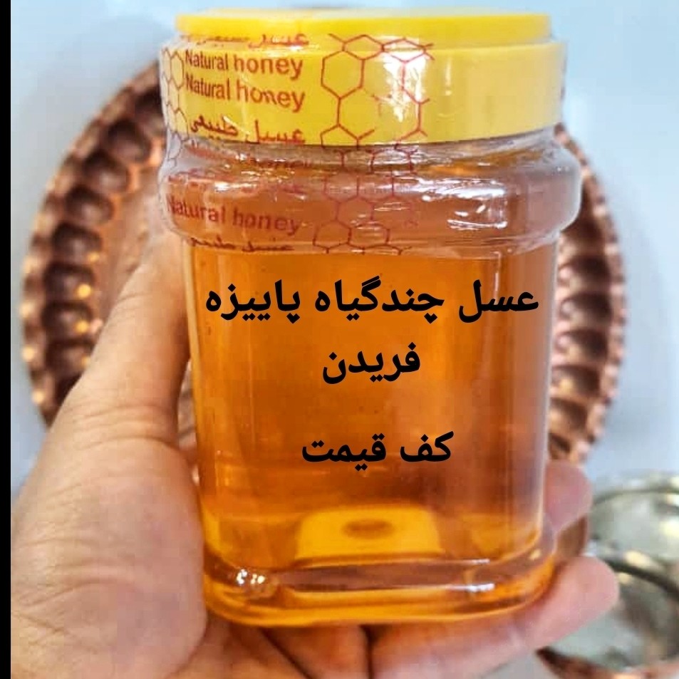 عسل چندگیاه پاییزه 1کیلویی ممتاز فریدن (ارسال رایگان)