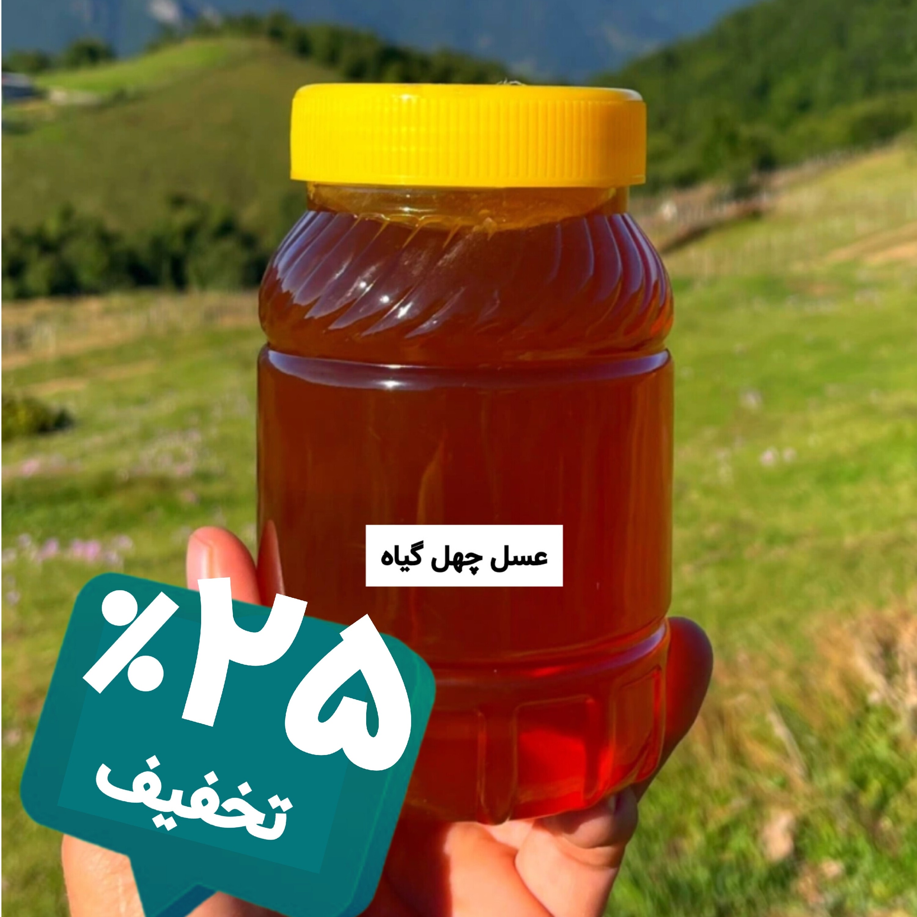 عسل طبیعی چهل گیاه طبیعی یک کیلویی (خرید از زنبوردار) برداشت جدید