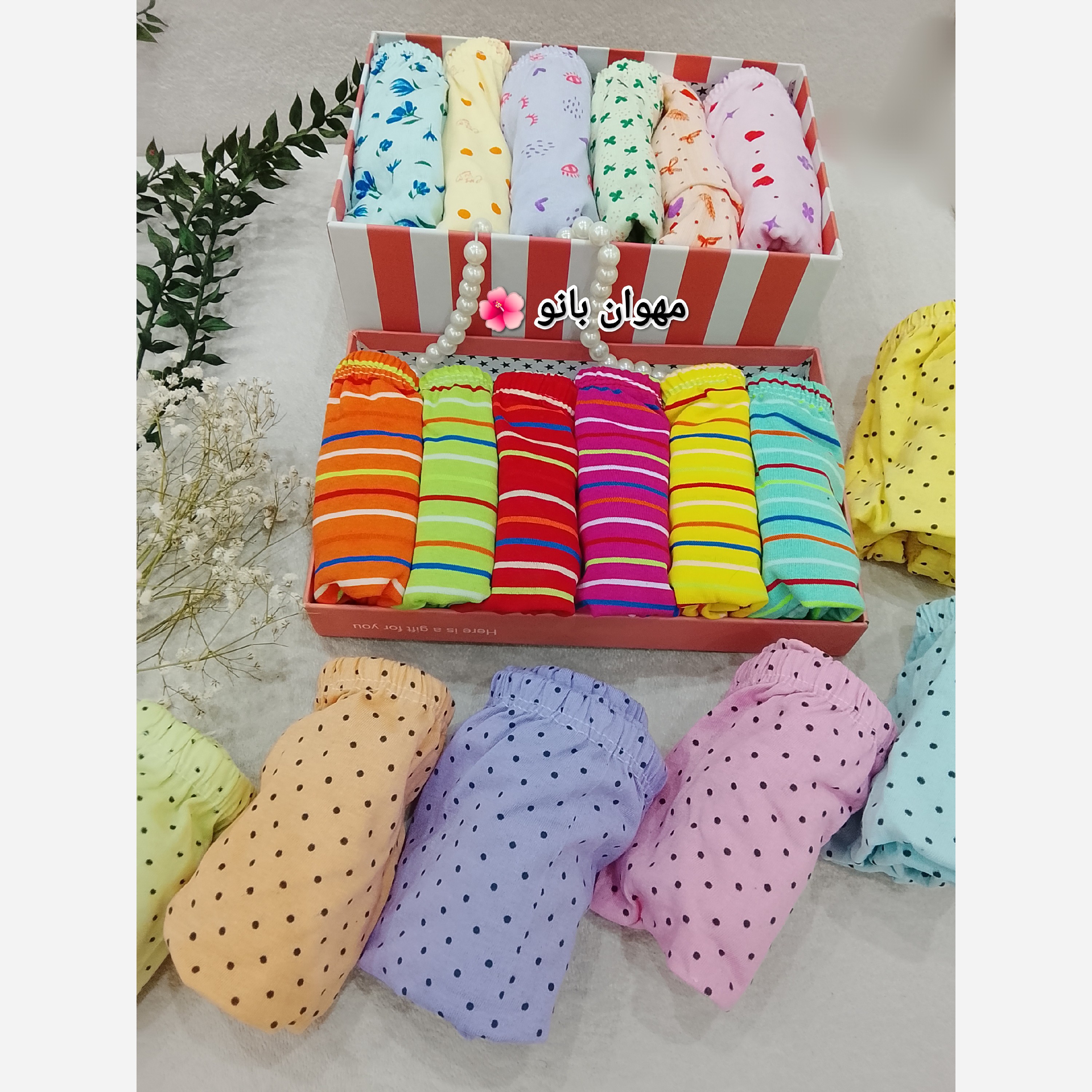 شورت زنانه نخی لیفه ای پکی و تعداد سایز بندی لارج تا 5ایکس قیمت عمده غرفه مهوان بانو