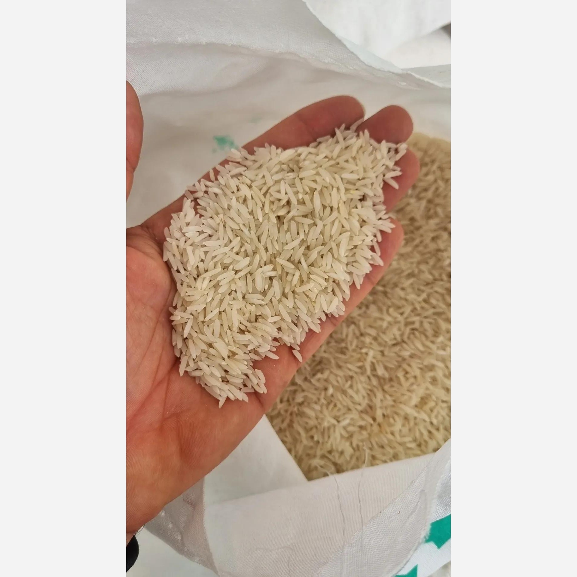 برنج شیرودی 10 کیلویی((ارسال رایگان))