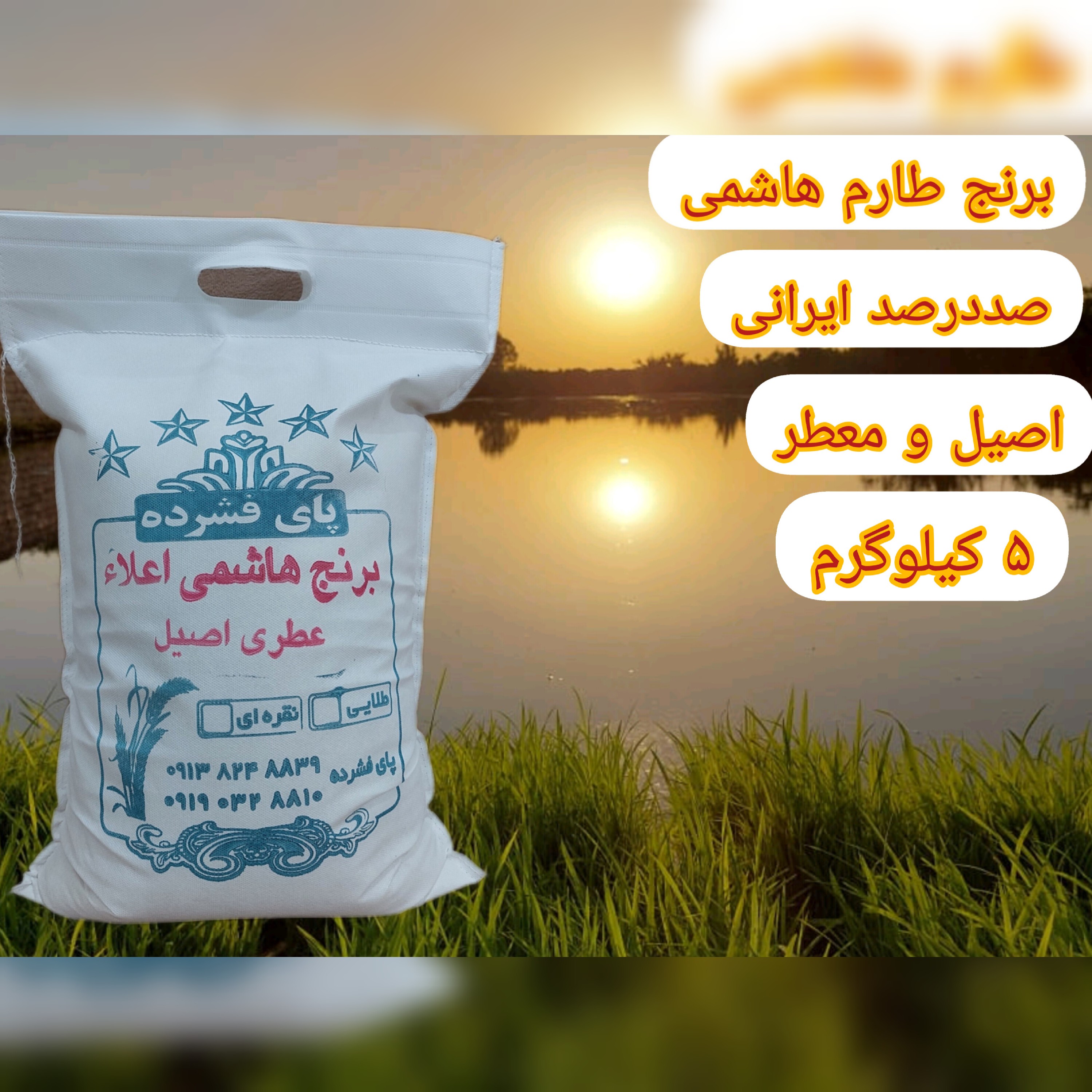برنج طارم هاشمی اصیل 5 کیلویی برنج شمال برند پای فشرده
