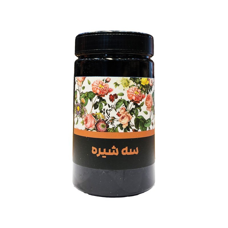 سه شیره 700 گرم بسدین (توت.خرما.انگور)