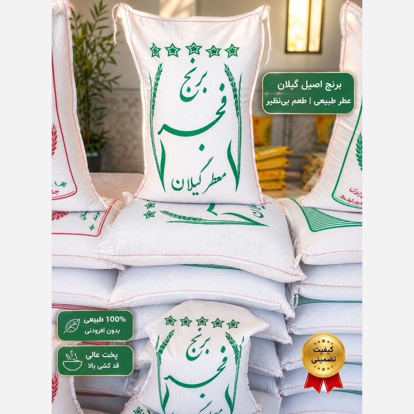برنج فجر 10 کیلویی ((ارسال رایگان))