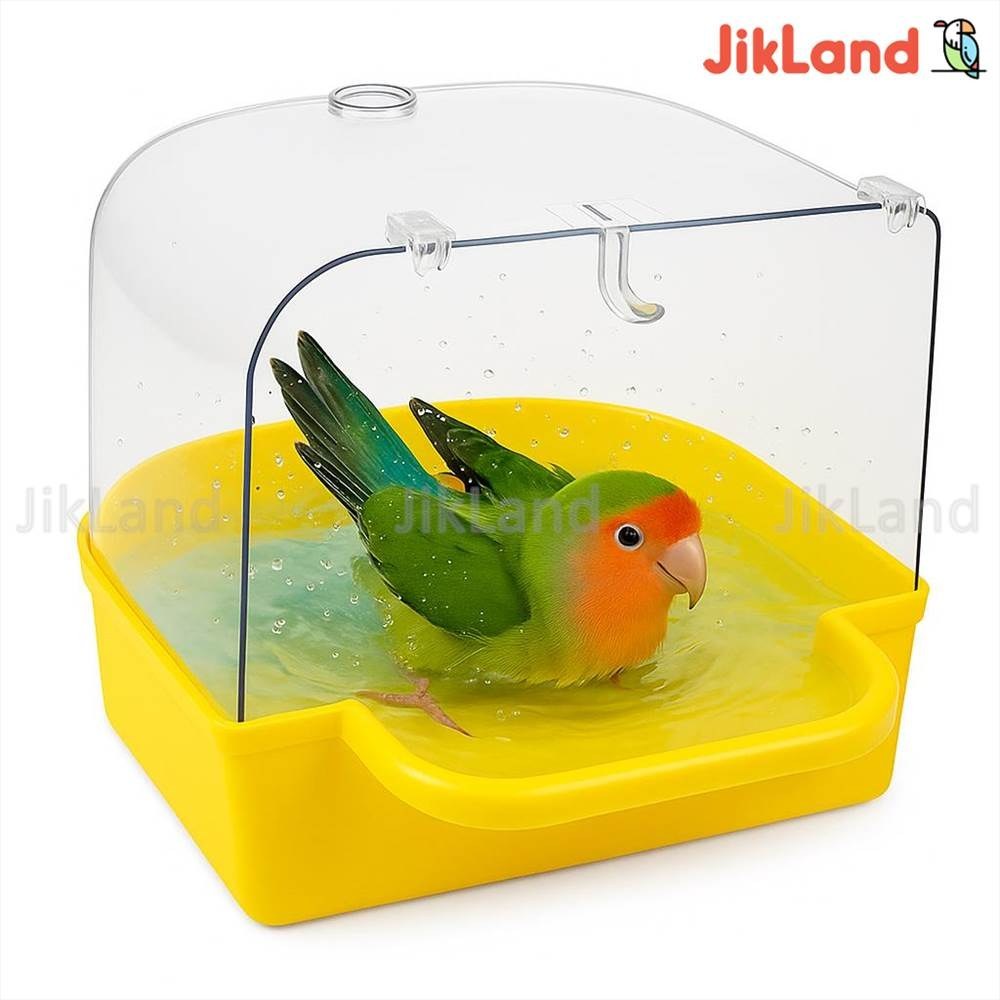 وان حمام بیرون قفس پرندگان جاوا - وان عروس، کوتوله، فنچ، قناری، مرغ عشق و...
