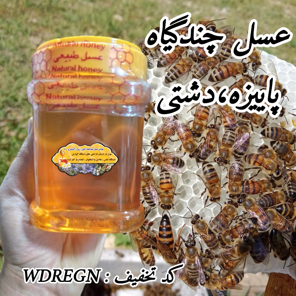 عسل چندگیاه پاییزه 1 کیلویی درجه یک.دشتی (خرید مستقیم از زنبوردار) ارسال رایگان
