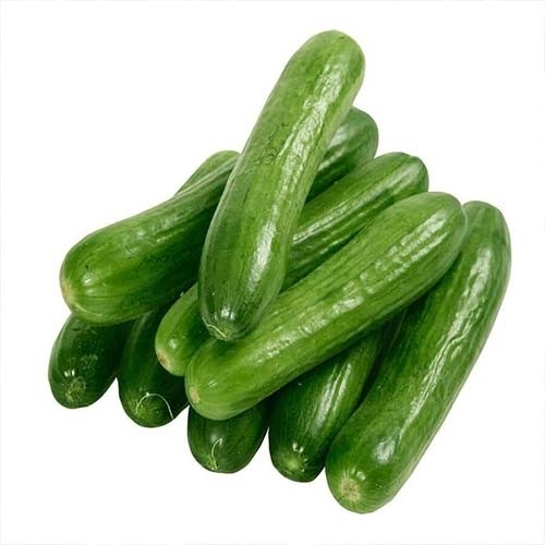 بذر خیار اصفهانی بوته ای پربار(10 عدد)