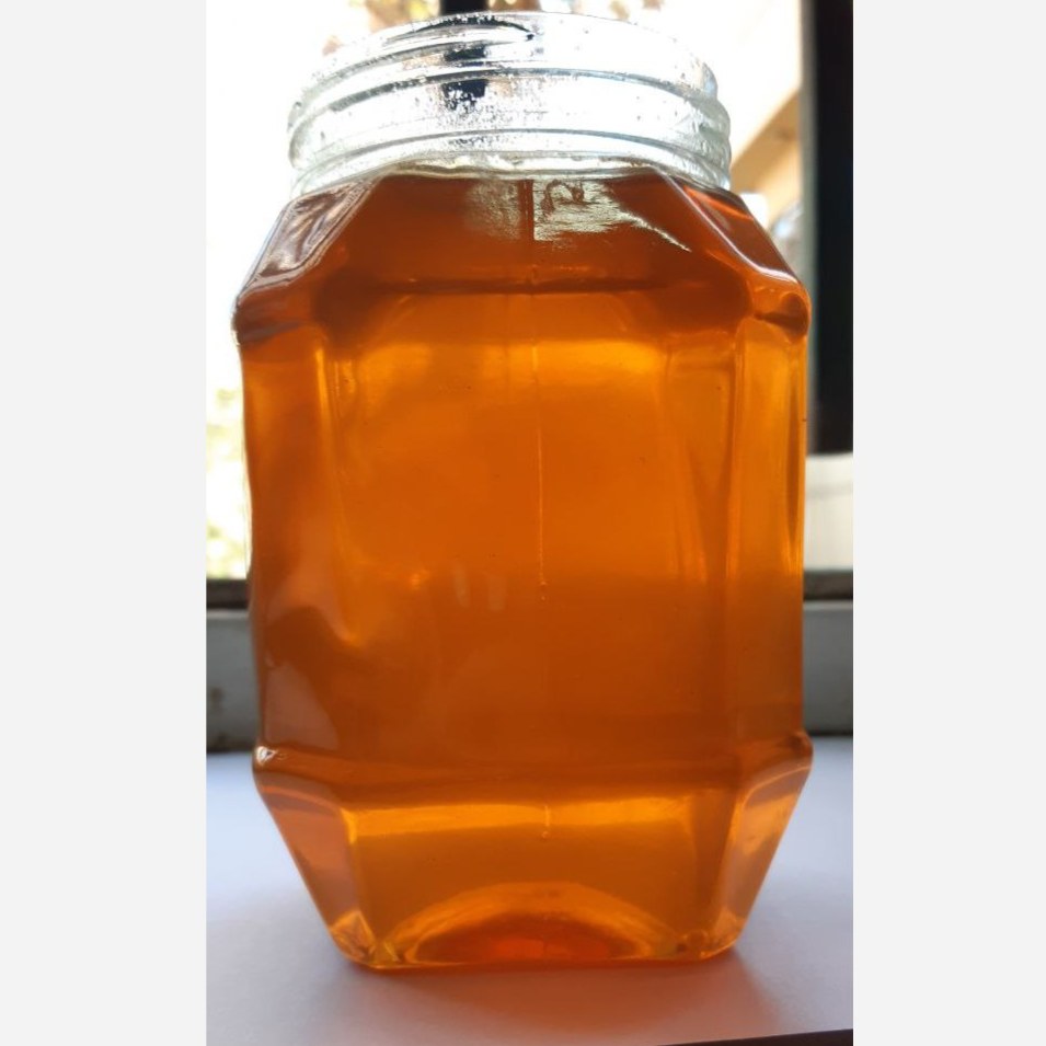 عسل طبیعی (ارگانیک) گیاه گون مرغوب(1000گرمی)