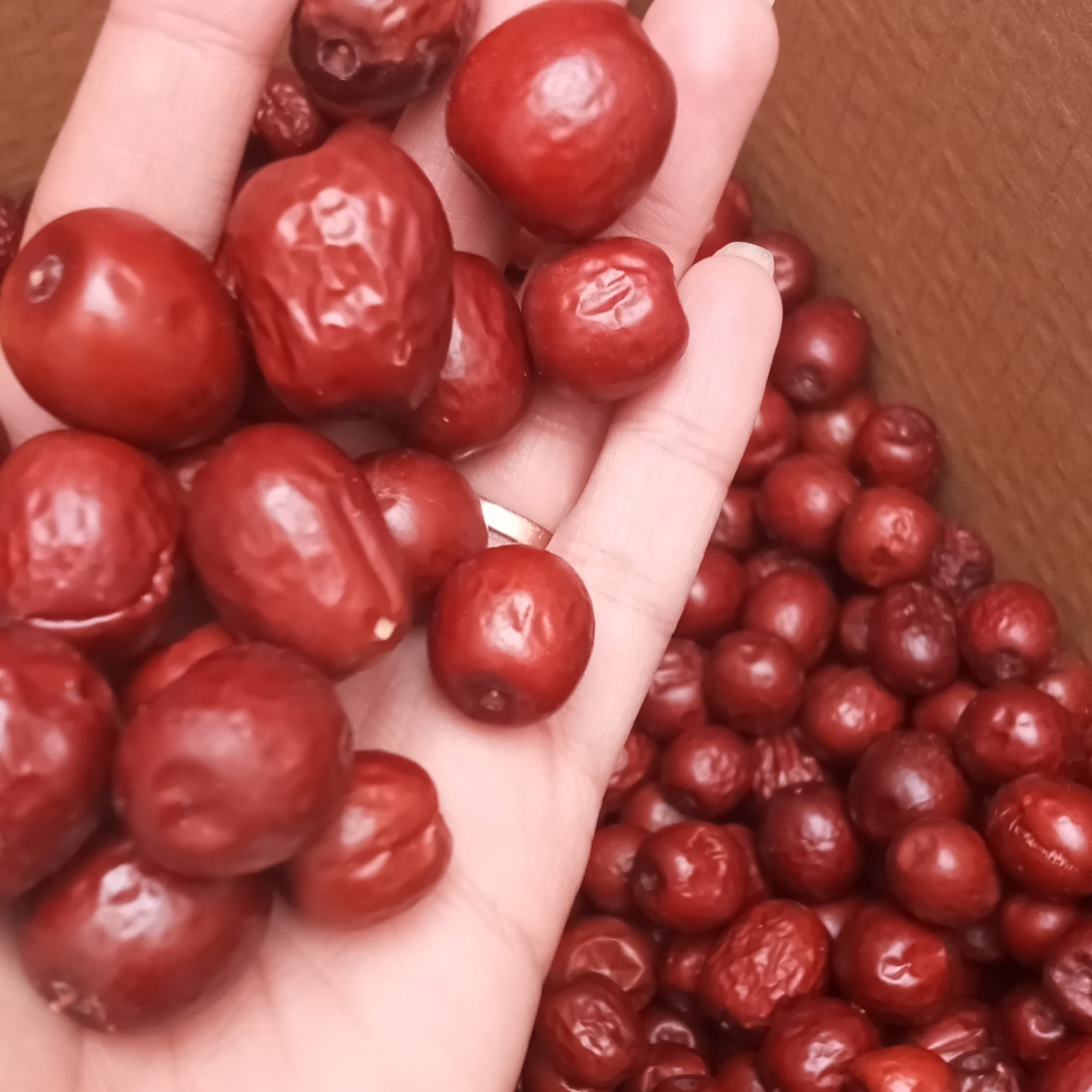عناب تازه و نرم و گوشتی(یک کیلویی)