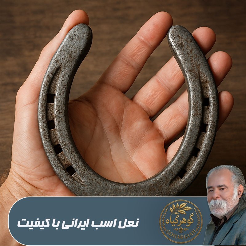 نعل اسب ایرانی با کیفیت