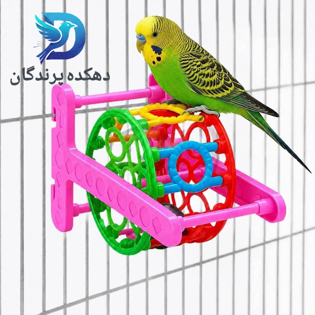 اسباب بازی طوطی مدل چرخ فلک بازی پرنده(درجه یک)طوطی برزیلی،مرغ عشق،گرینچیک،عروس هلندی و...