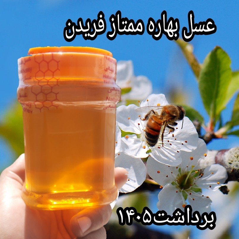 عسل بهاره1کیلویی ممتاز فریدن(ارسال رایگان)
