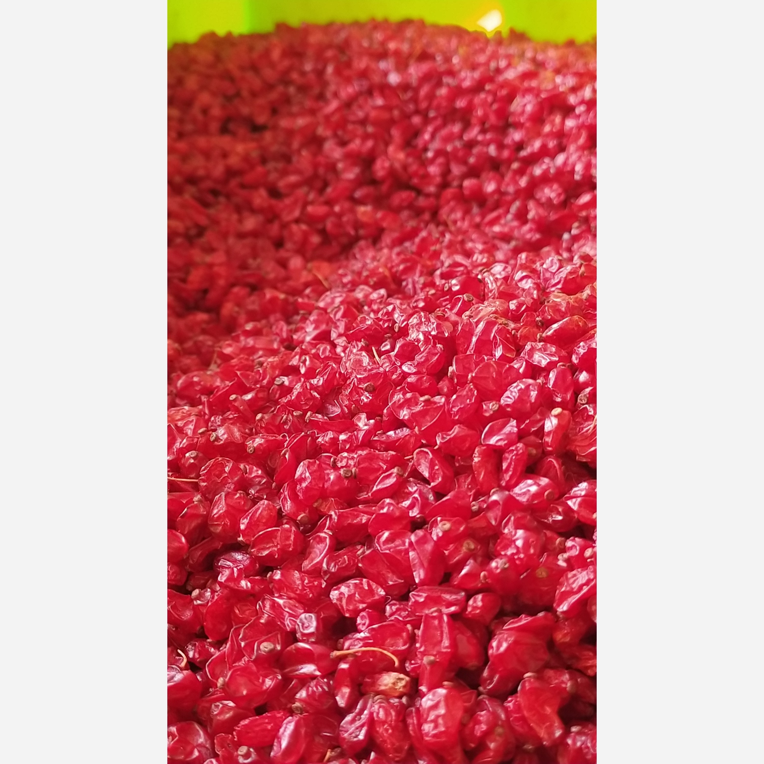 زرشک اناری امسالی درجه یک