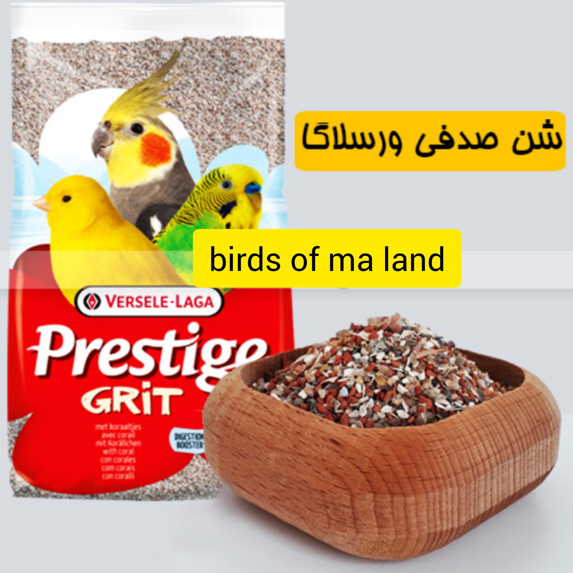 شن و ماسه گریت ورسلگا 100گرم مناسب پرندگان