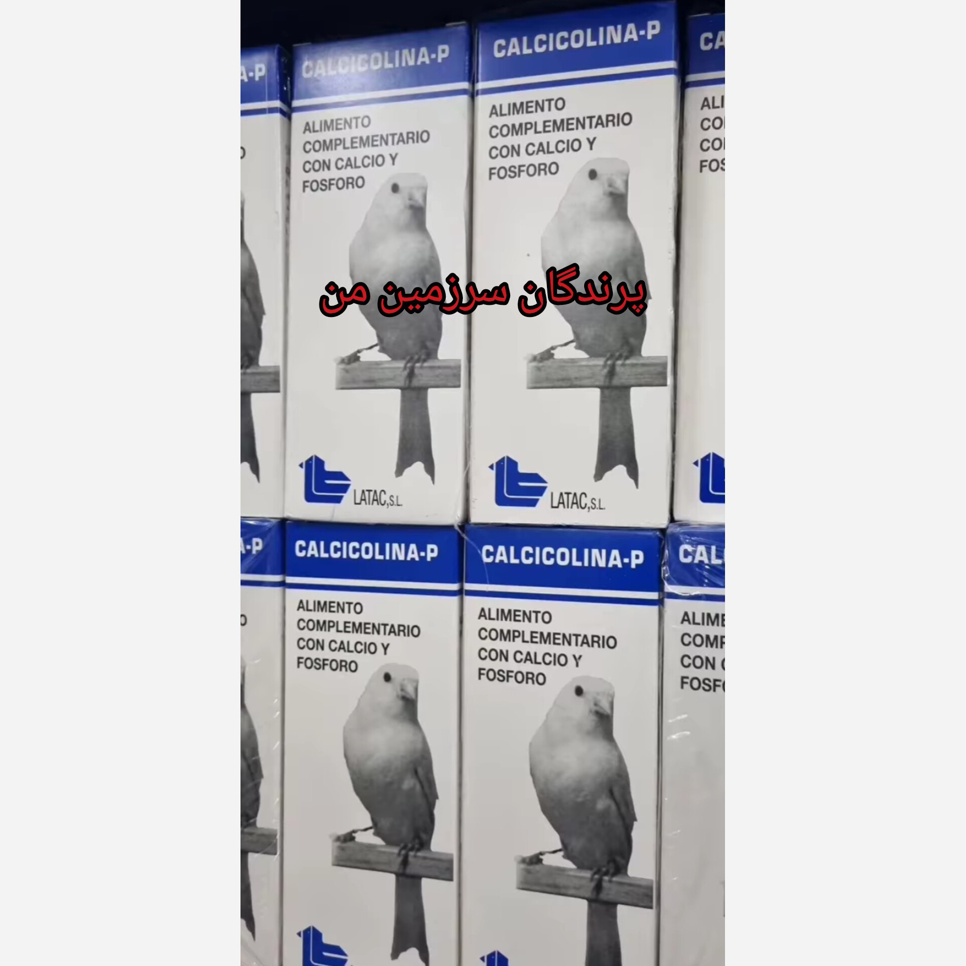 قطره کبدشور پرنده کلسی کولینا لاتک20میل لاتک