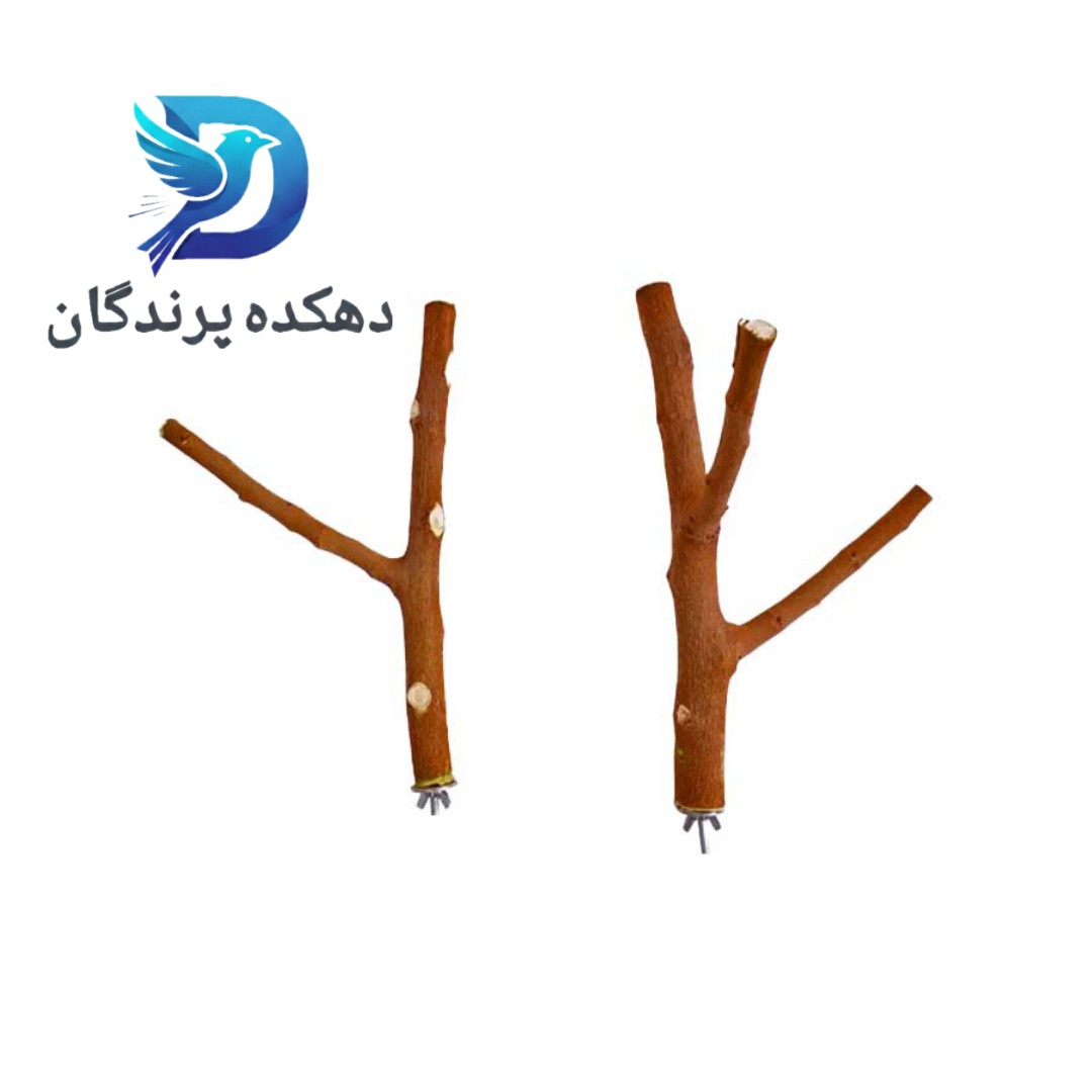 شاخه طبیعی قفس پرندگان (یک عددی)یا چوب طبیعی نشیمن قفس عروس هلندی مرغ عشق طوطی برزیلی گرینچیک فنچ و...