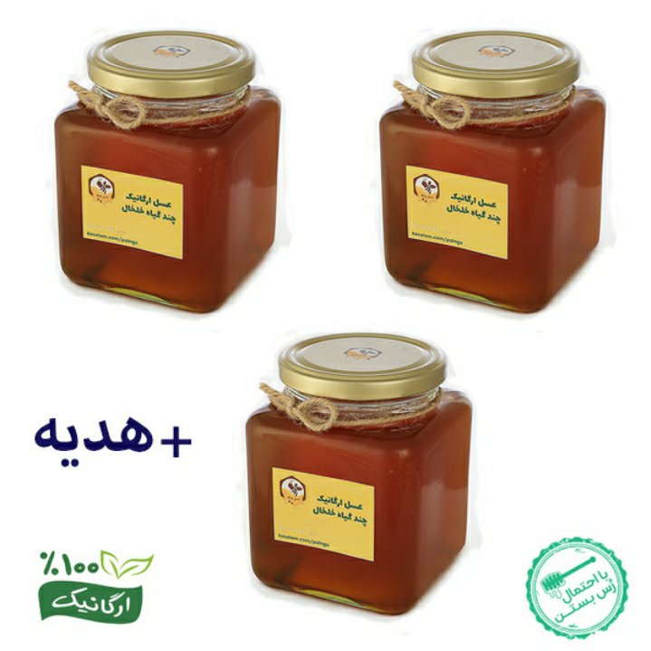 عسل طبیعی کوهستان خلخال خام ارگانیک چند گیاه دیابتی 3 کیلویی شهد روان