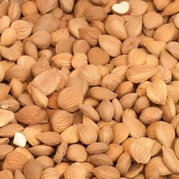 مغز هسته زردآلو شیرین