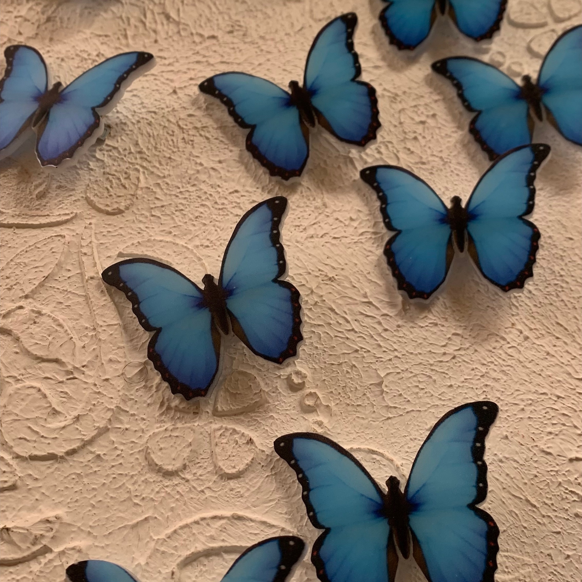 گیره موی ایموجی پروانه