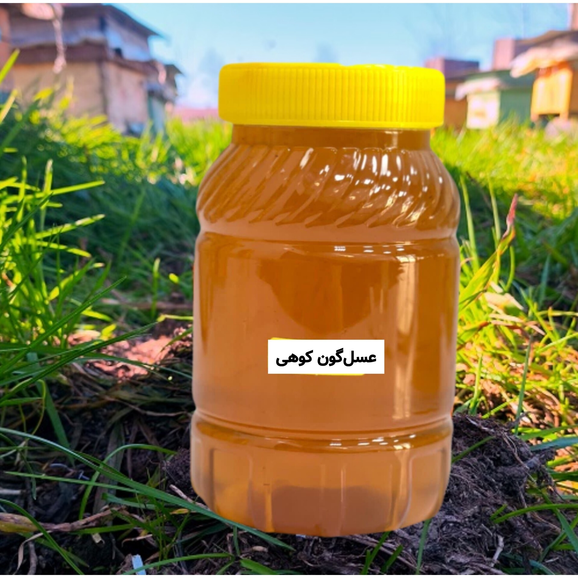 عسل طبیعی گون کوهی یک کیلویی(خرید از زنبوردار) ارسال رایگان