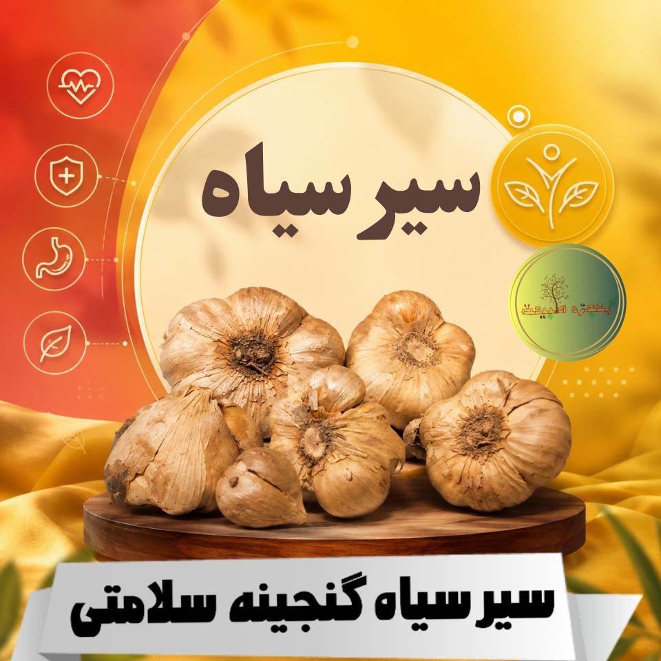سیر سیاه همدان درجه یک و دست چین شده(500 گرمی )