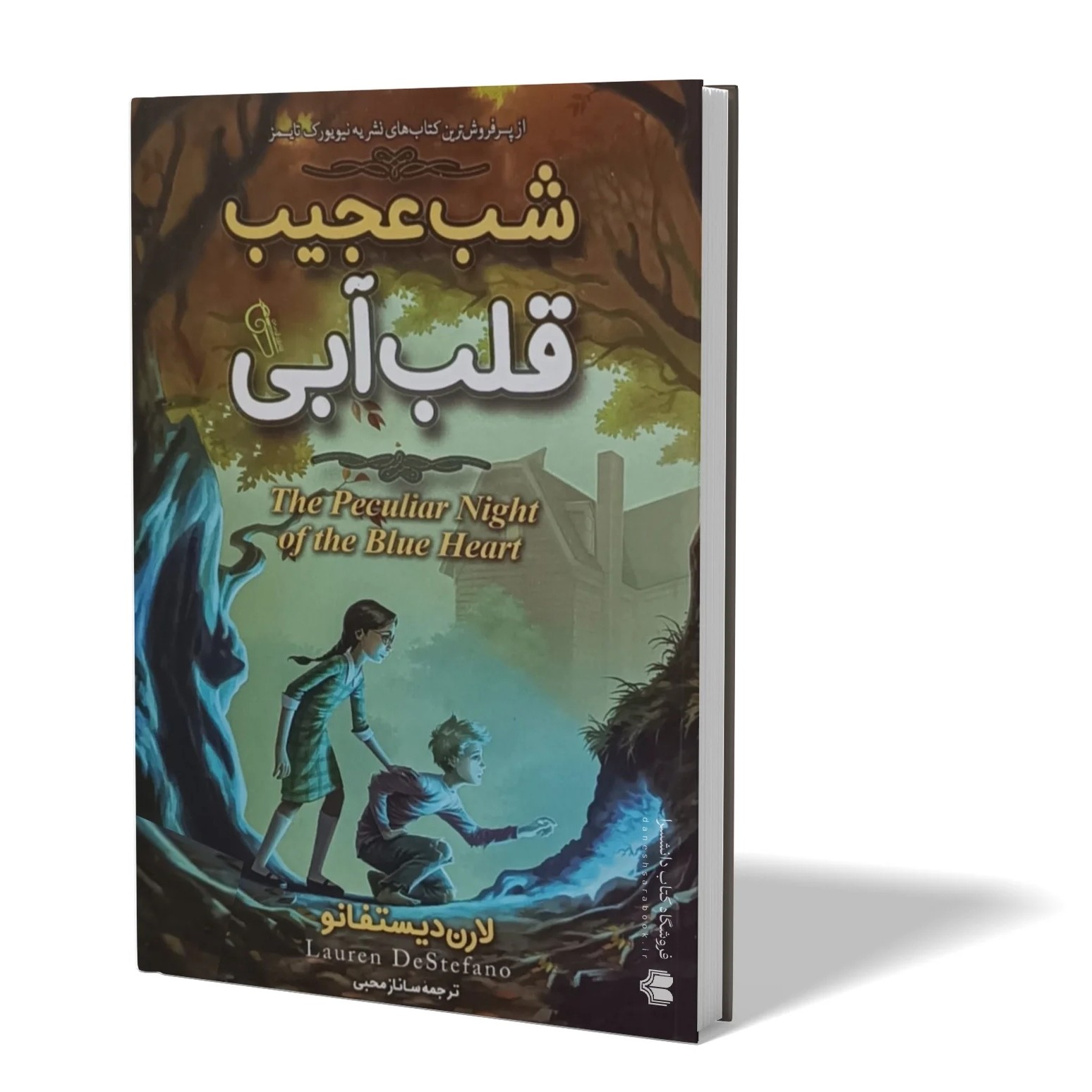 کتاب شب عجیب قلب آبی اثر لارن دیستفانو مترجم ساناز محبی انتشارات ازرمیدخت