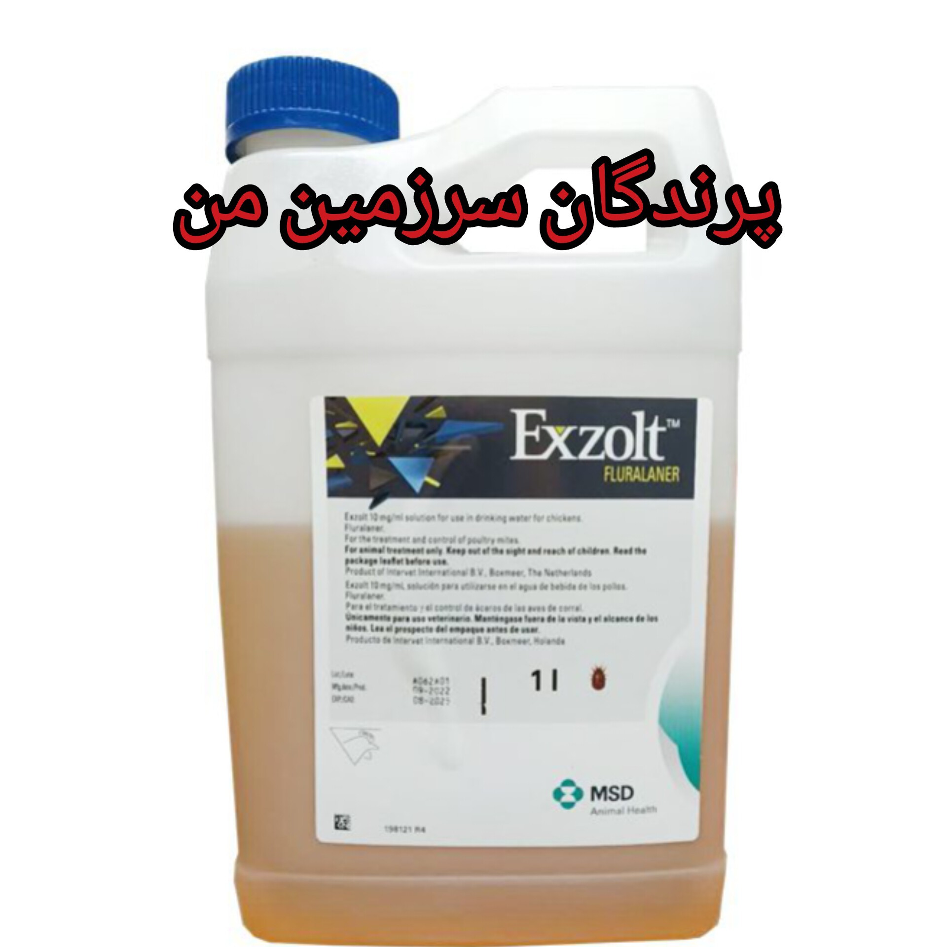 اگزولت ضد شپش پرندگان یک سی سی خوراکی