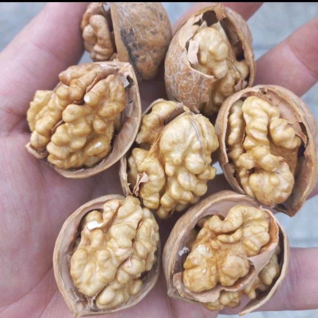 گردو پوست کاغذی سفید امسالی درشت و یکدست 1 کیلو گرم