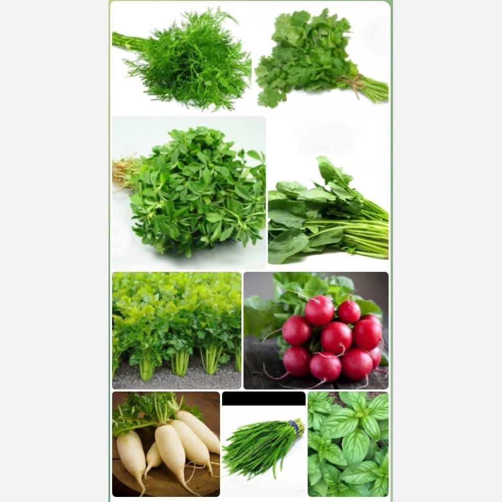 پک بذر سبزیجات(12 نمونه سبزی پرمصرف)