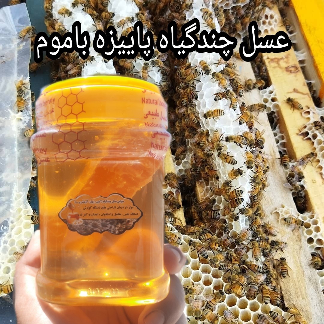 عسل چندگیاه پاییزه 1کیلویی باموم ممتاز فریدن (ارسال رایگان)