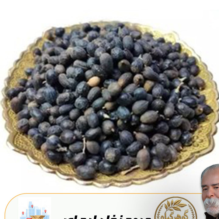 میوه نخل اره ای - 100گرمی