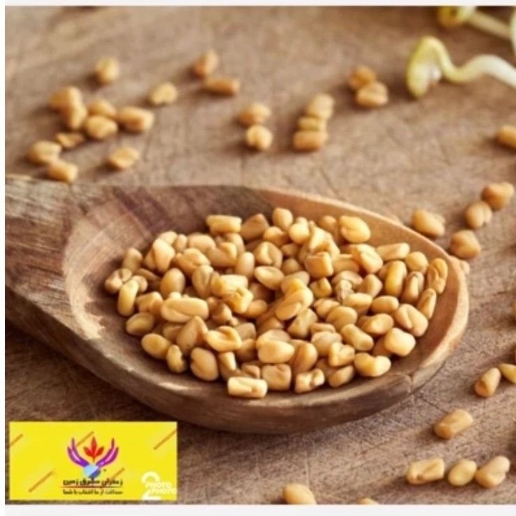 تخم شنبلیله اعلا یک کیلویی برند مشرق زمین