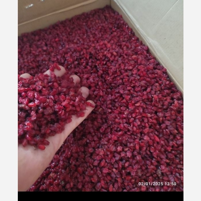 زرشک اناری امسالی اعلا (مستقیم از کشاورز در بسته بندی یک کیلویی و بصورت کارتنی و کلی