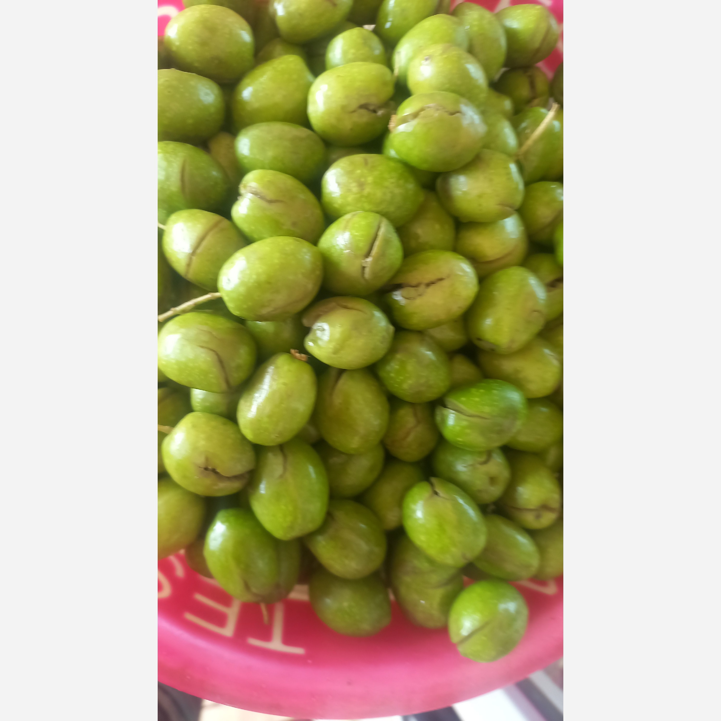 زیتون شکسته سایز ویژه 2کیلوی شیرین و خوشمزه وخوش خوراک شوراب نمکی سنتی
