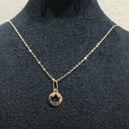 پلاک های طلا 65سوت تا100 سوت (اقساط 4 تا 9 ماه)