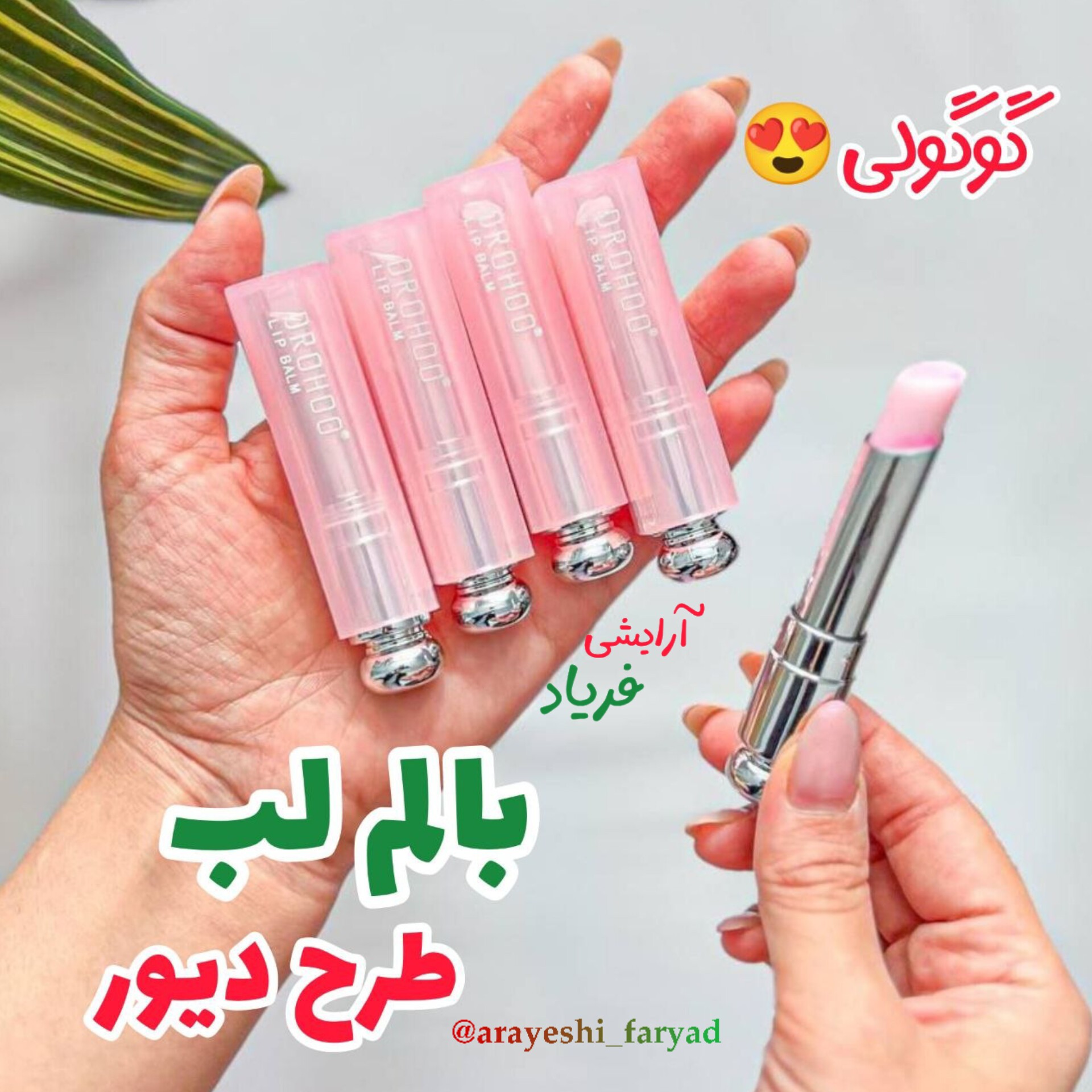 بالم لب طرح دیور