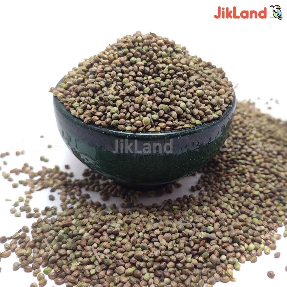 شاهدانه درشت درجه 1 تقویت و مستی عروس هلندی و طوطی ها