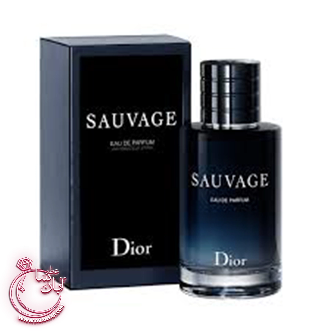 عطر مردانه ساواج دیور عطر ادکلن دیور ساوج ادو پرفیوم