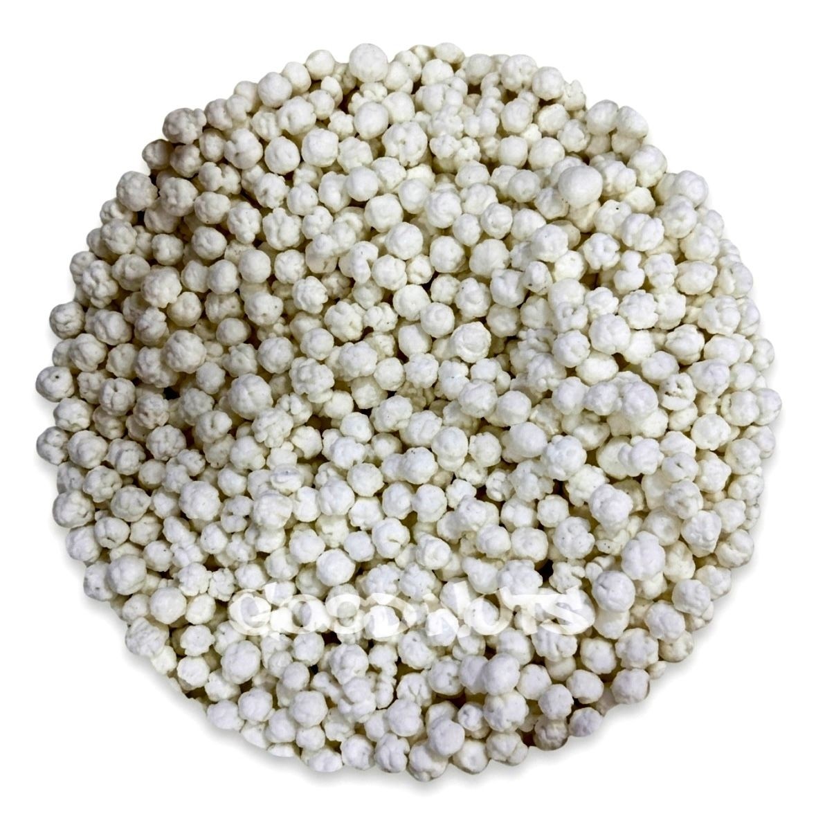 نقل گشنیز سنتی 250 گرم