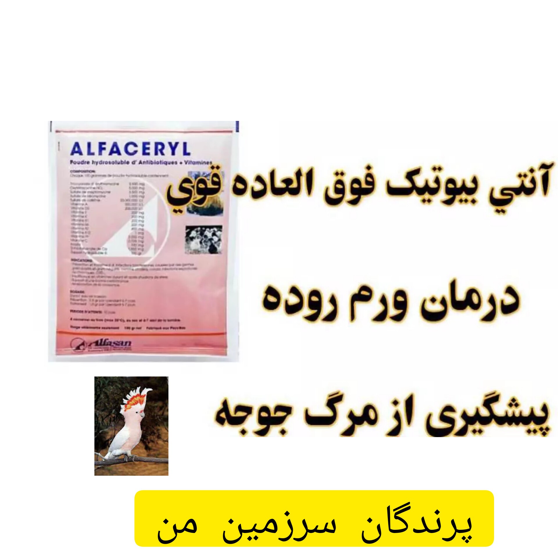 آلفاسریل آنتی بیوتیک و مکمل 10گرم برای پیشگیری از مرگ میر پرندگان زینتی و سایر پرندگان