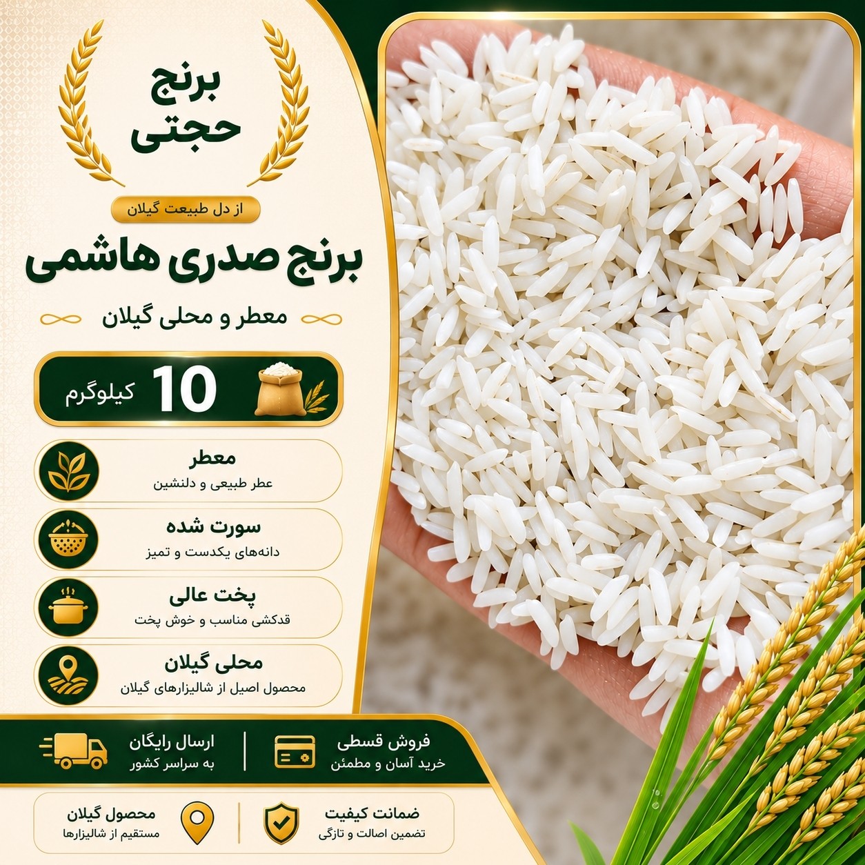 برنج صدری هاشمی ممتاز محلی گیلان (10 کیلو) ارسال رایگان
