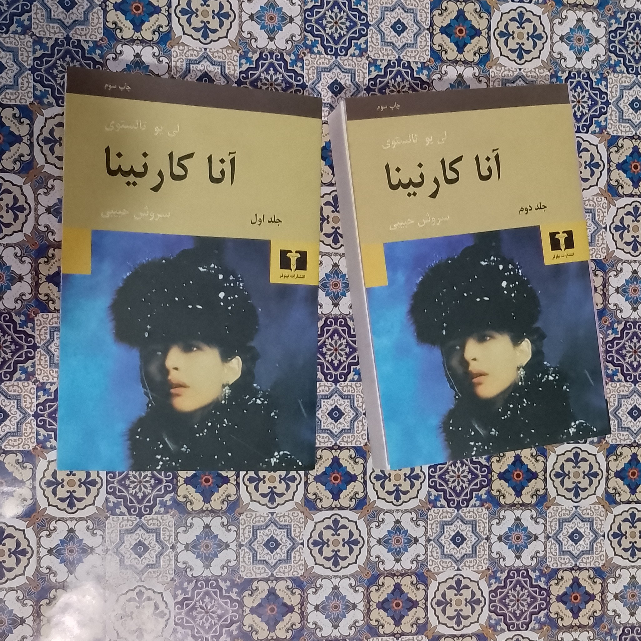 کتاب آناکارنینا نوشته لئو تولستوی ترجمه سروش حبیبی (2جلدی) انتشارات نیلوفر